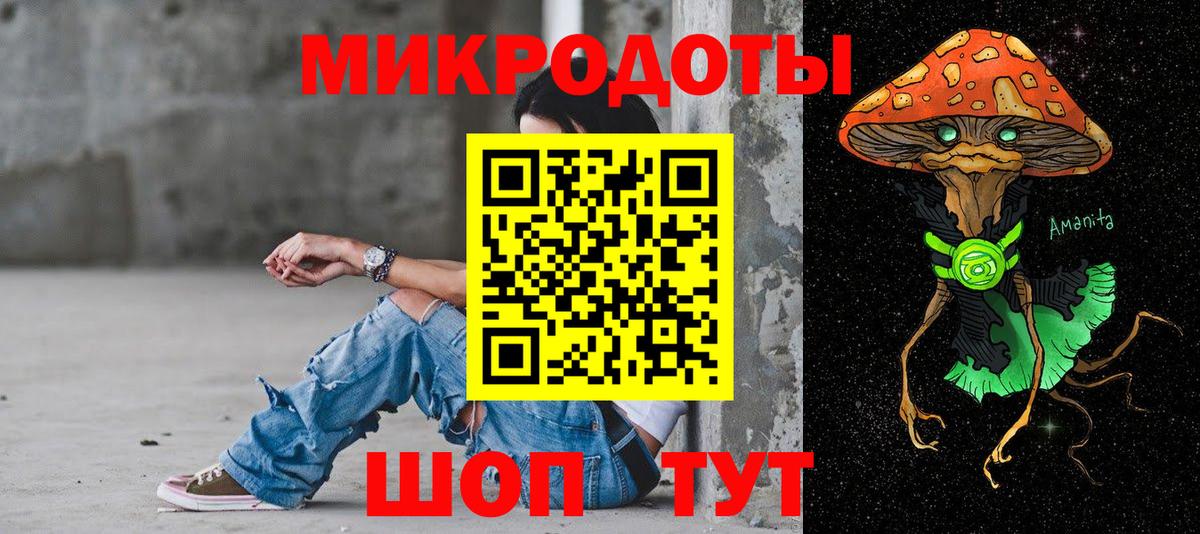 Галлюциногенные грибы Psilocybine cubensis Лыткарино