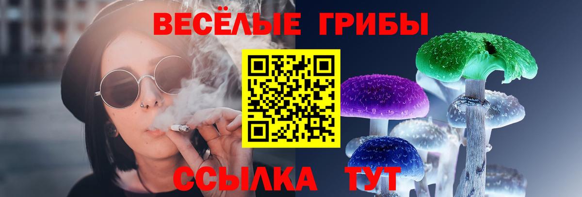 Лыткарино  Псилоцибиновые грибы мухоморы  Вход с VPN 